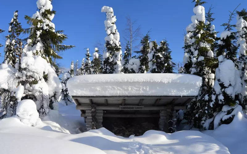 男人对女人动情才会有的六个小动作