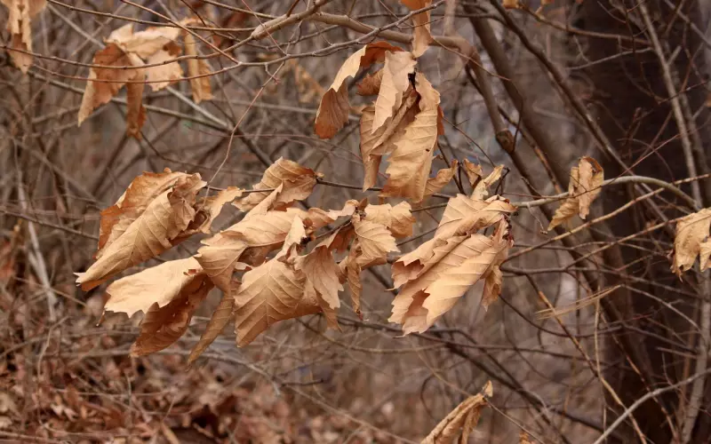 分手六个月是挽回爱情的黄金时期