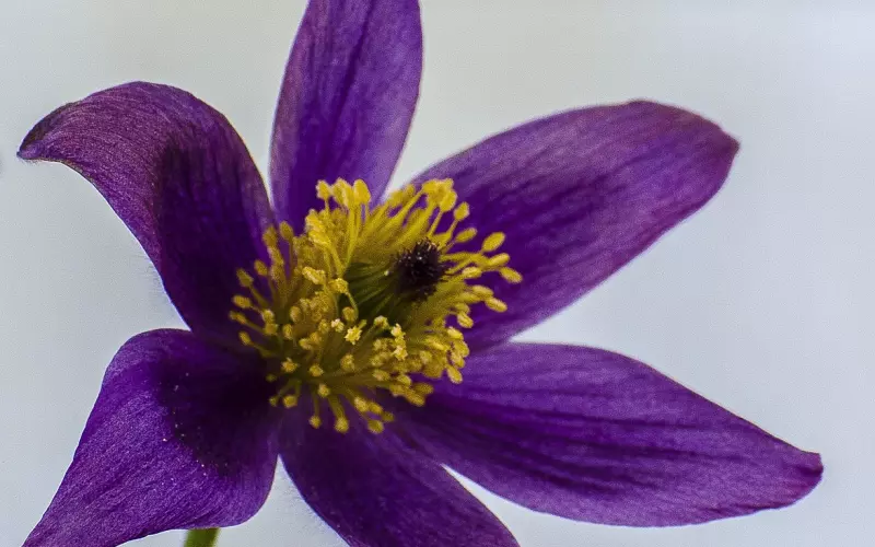 聪明的女人防止老公出轨的六个小建议