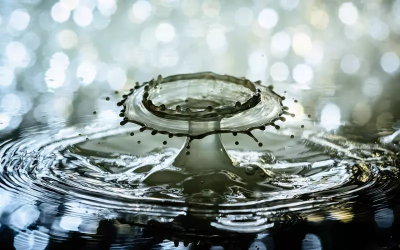 巧用心锚助你更好的打开挽回爱情的局面