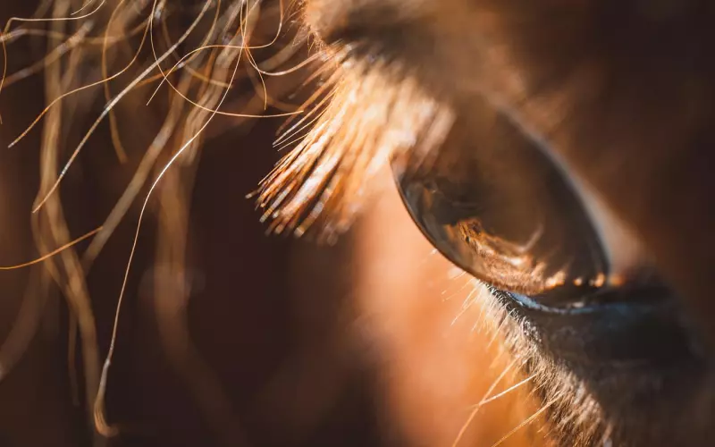 挽回爱情中需要注意的小细节