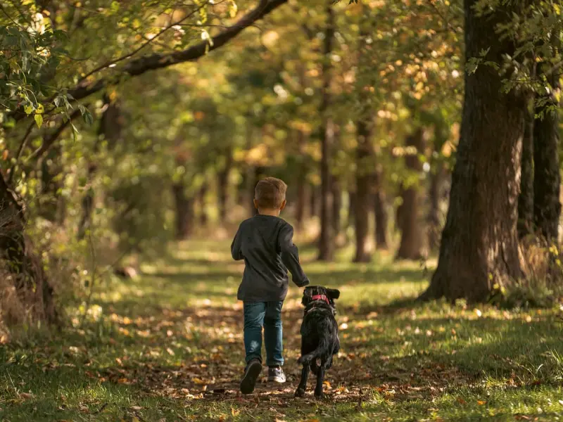 婚后异性朋友之间不该有的小动作，尤其是人到中年