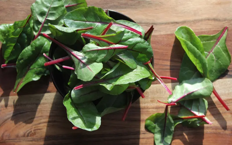 聪明女人，一生要放下的10样东西