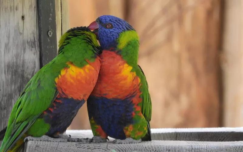 恋爱中的一些宇宙真理