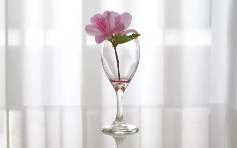 挽回的某些想法