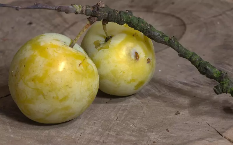 有些男人，再守候他也不会成熟