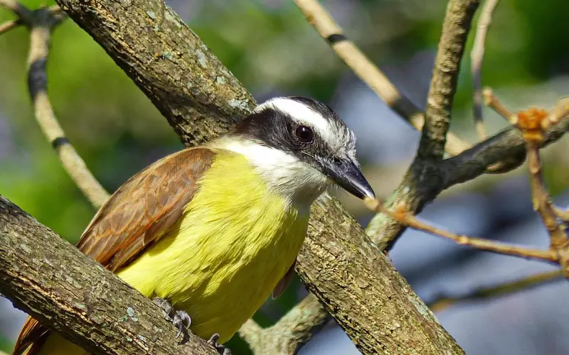 有些你看到的“细节”会误导你。