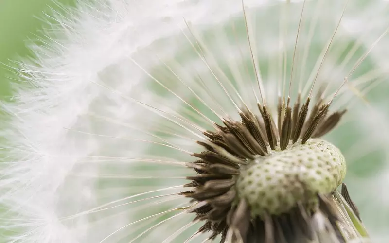 有些人，近了远了，顺其自然！