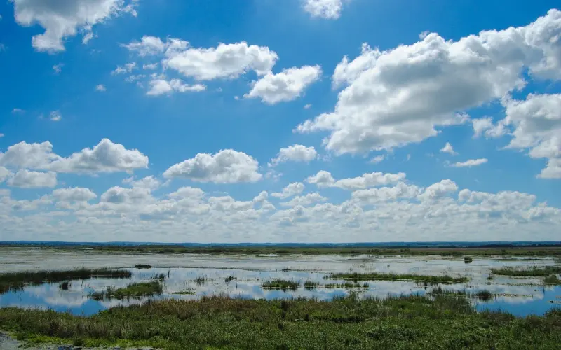 有些事，随缘就好，别在乎太多