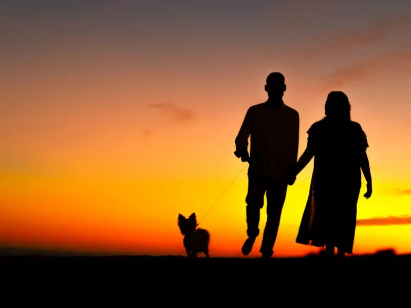 有些事，越在意，越累！