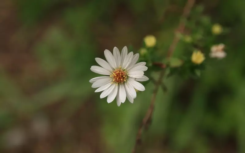 挽回的一些思考