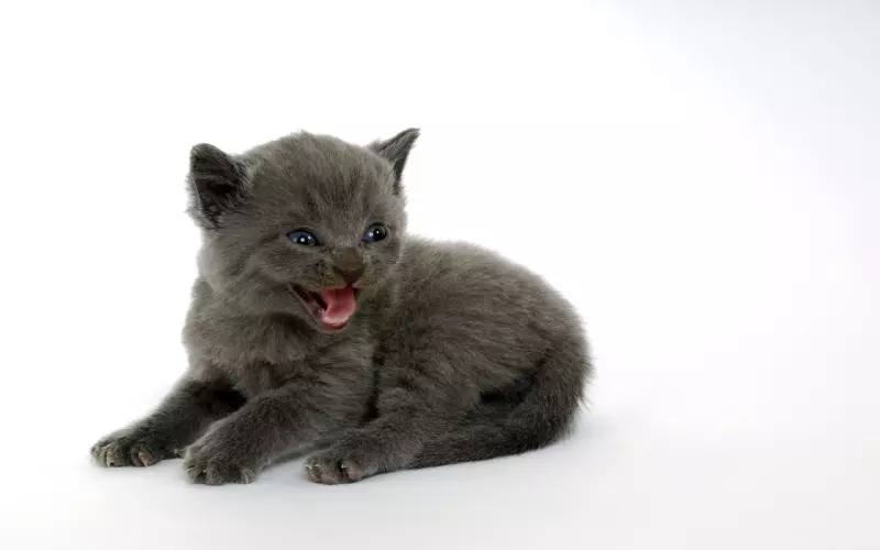 挽回男友的一点小建议