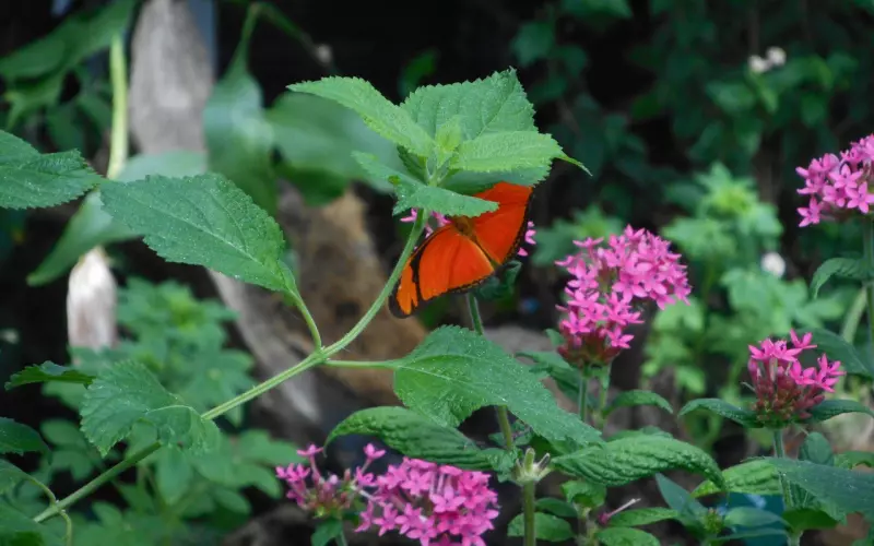 挽回前男友的一些小妙招
