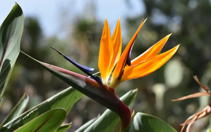 单身男的一些奇葩问题,看看你中招没有!