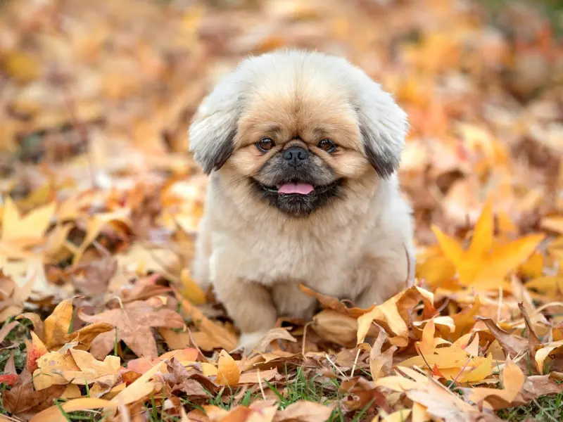 有些话，其实是男人喜欢你的暗语！