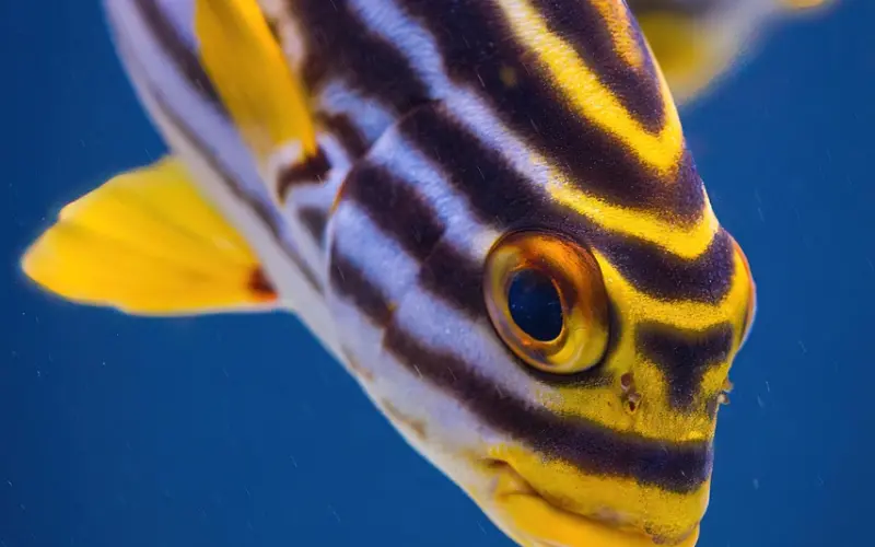 有些话，止于唇，藏于心