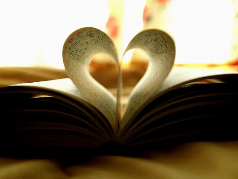 爱情有时候就是得不到的永远在骚动，被偏爱的都有肆无恐