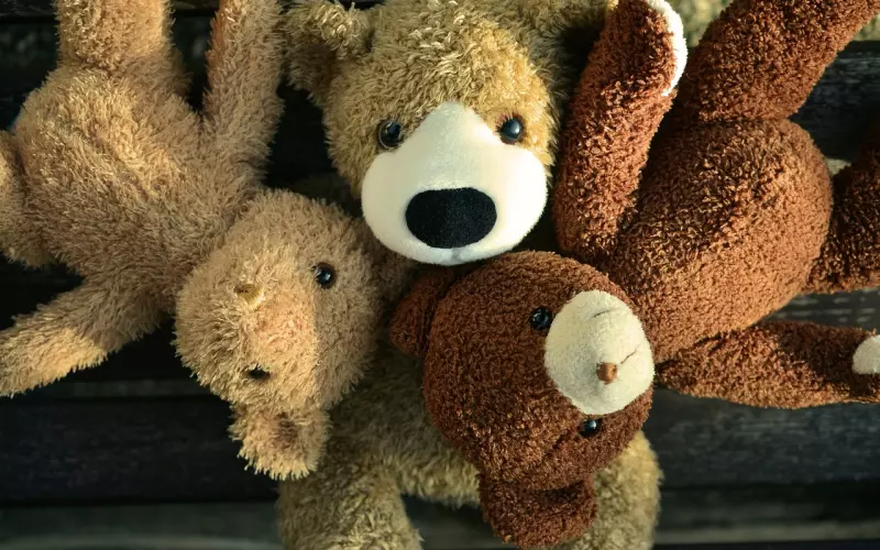 有时候怀念的早已不是曾经的那个人，而是曾经为之努力过的爱情