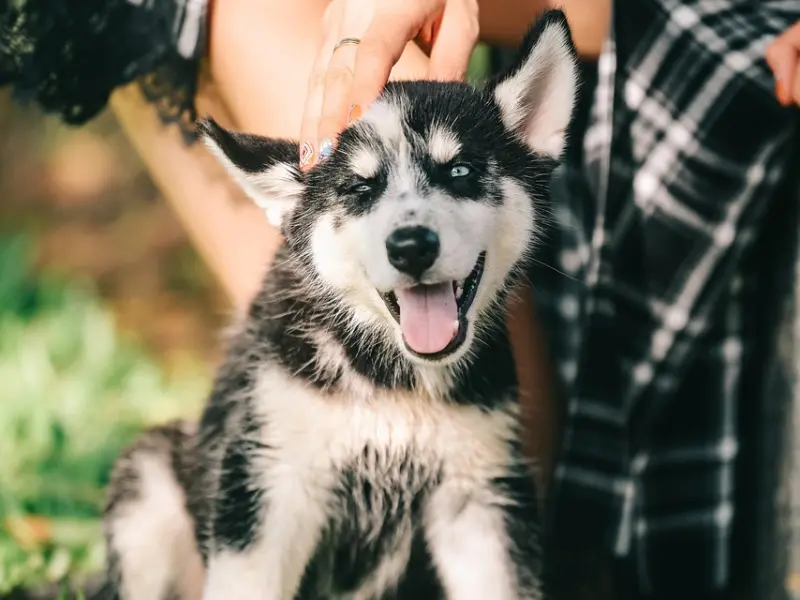 对不起，我也爱过婊子