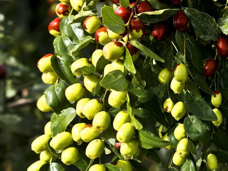 特别的男人，都这么和女生微信聊天