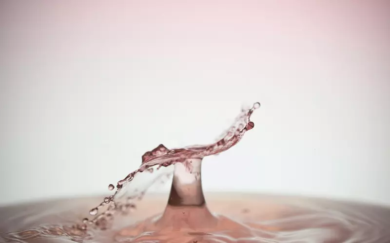 爱情挽回实验的步骤