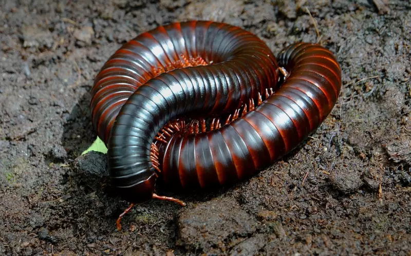 成功挽回男友的几个步骤