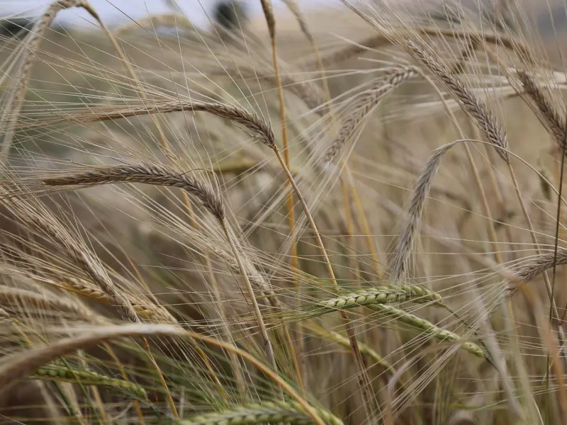 挽回处女座男友步骤：分手后挽回处女座男友该怎么做？