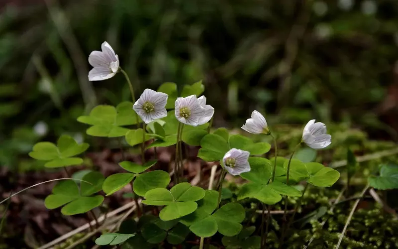 分手挽回男朋友的步骤：四招让他重新爱上你!
