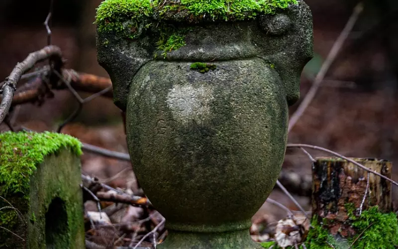 挽回男友的步骤：对前男友难以忘怀，不妨试试这样挽回