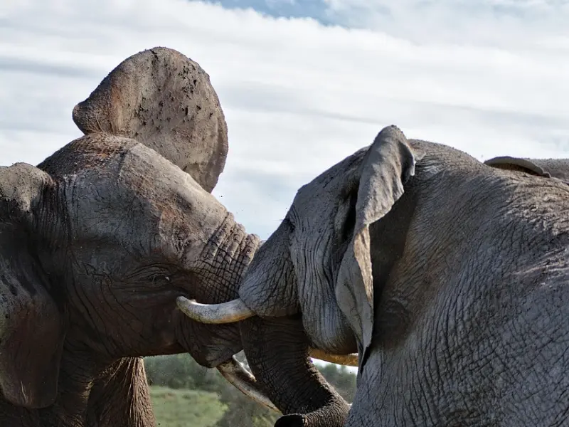 将这3点坚持做到底，你至少秒杀了80%的对手