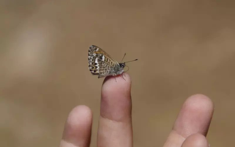 还喜欢Ta？那就勇敢的去挽回！