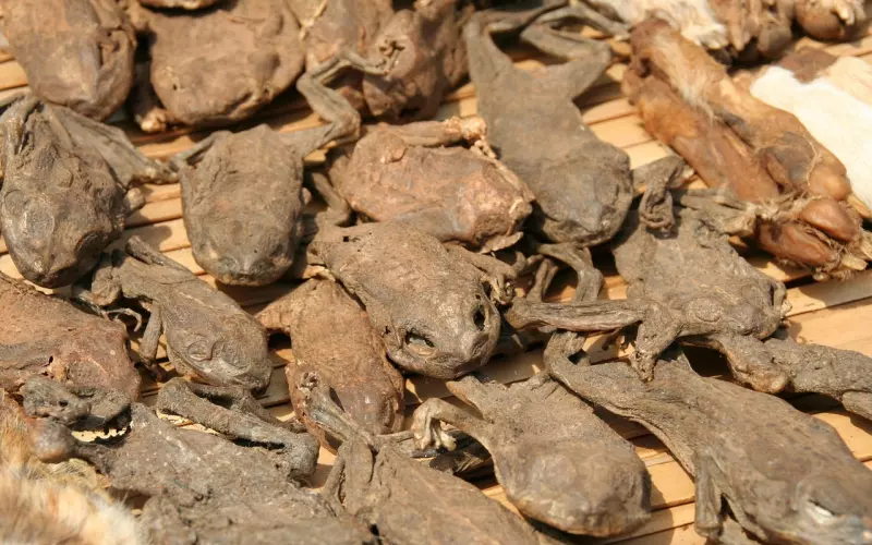 还在为异地恋苦恼？教你如何维持异地恋