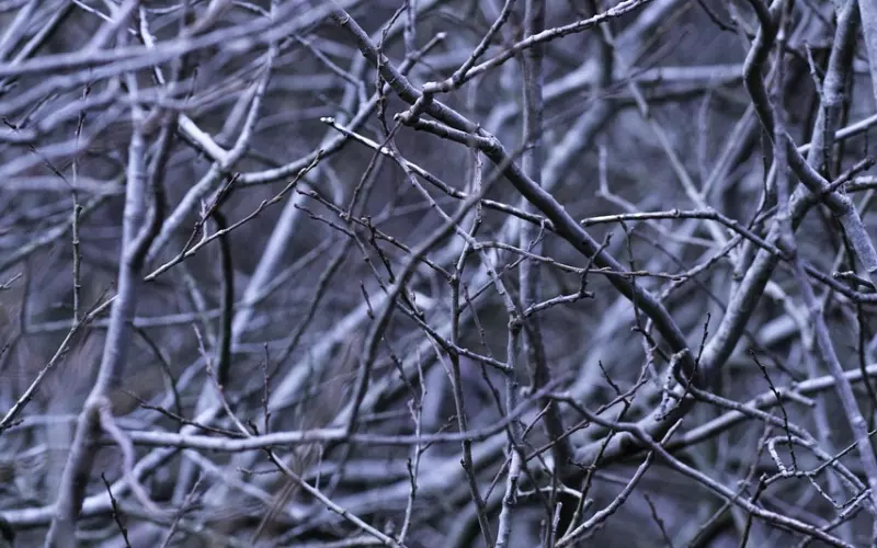 这样回你微信的人，就别再聊了。