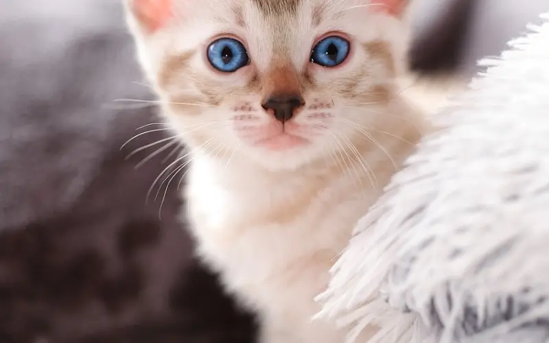 别再像个小女孩一样恋爱