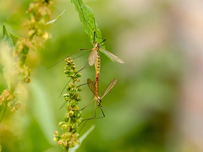 别再跪舔了，成年思维方式让你两个月成功挽回