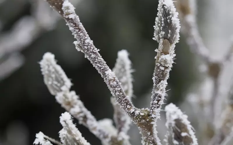 别再透支自己了，感情中这种付出才是值得的！