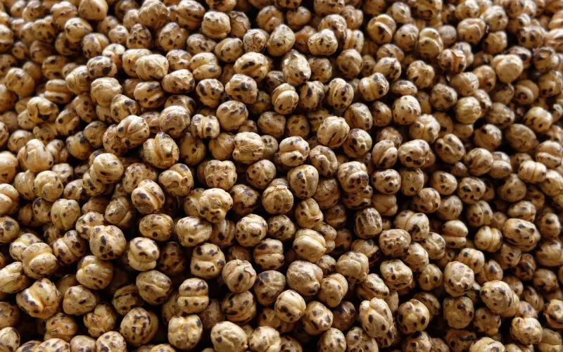 少在我背后谈论我，闭上你那欠扁的嘴