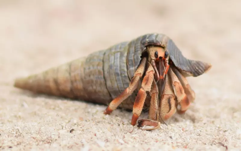 挽回男友故事：男朋友经常删除异性同事的聊天记录说明什么？