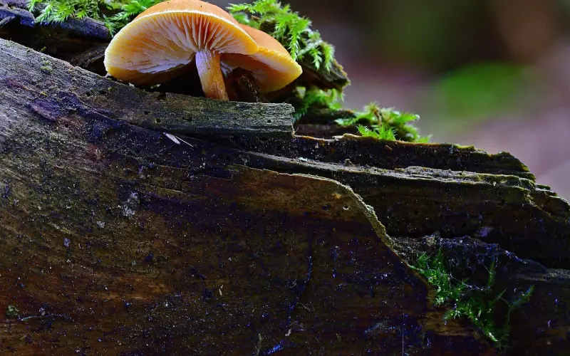 分手复合策略：别再死缠烂打惹人烦了，教你挽回爱情的小套路