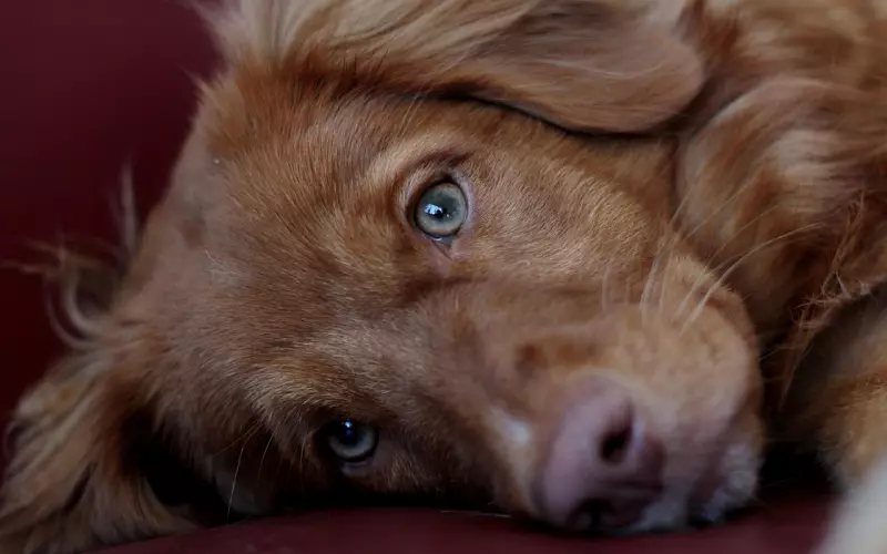 大龄优秀未婚女青年脱单攻略