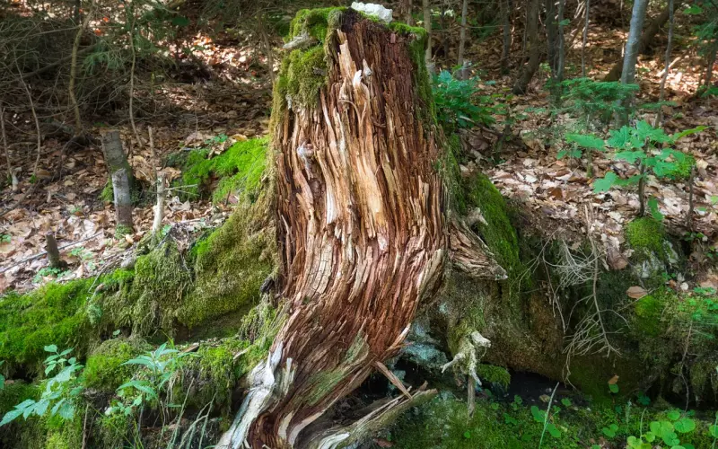 男友绝情分手挽回攻略