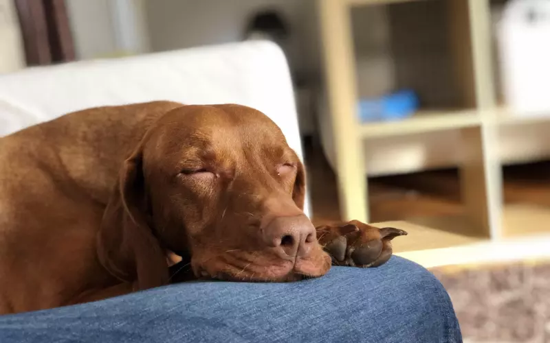 挽回老公攻略：老公喜欢上别人，该怎么挽回变心的老公