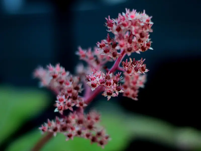 挽回处女男友攻略：如何才能让我们的感情回到最初的时候，怎样才能让男友重新爱上我