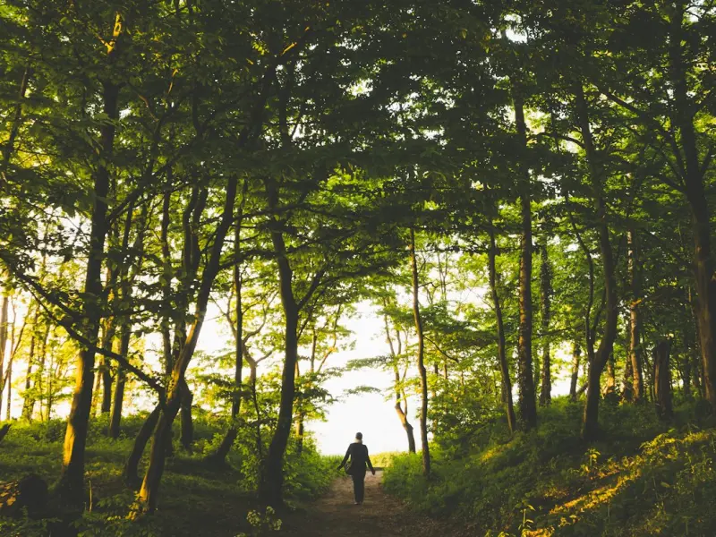 如何挽回男友攻略之挽回完美主义的处女座男友