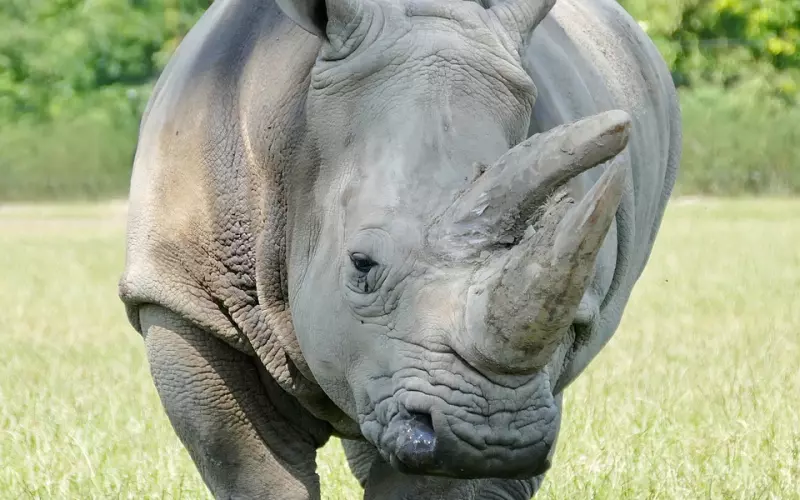 如何挽回老公的策略：婚姻因出轨而濒临破碎，还有挽回的必要吗？