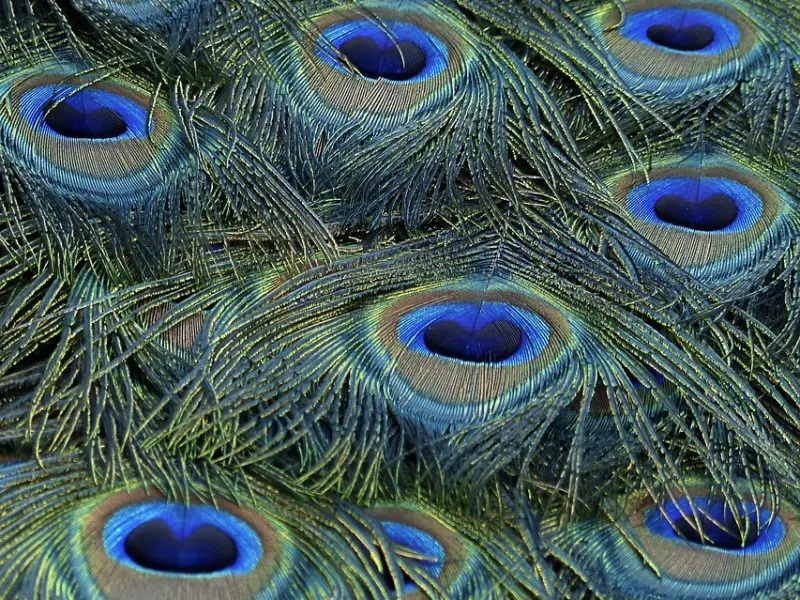 如何挽回女友的策略：挽回女友你一定要注意这些细节，挽回女友的心