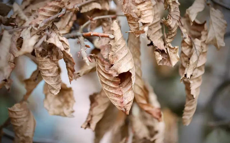 怎么挽回男友的策略：伤透了男友的心，挽回男友的正确方法