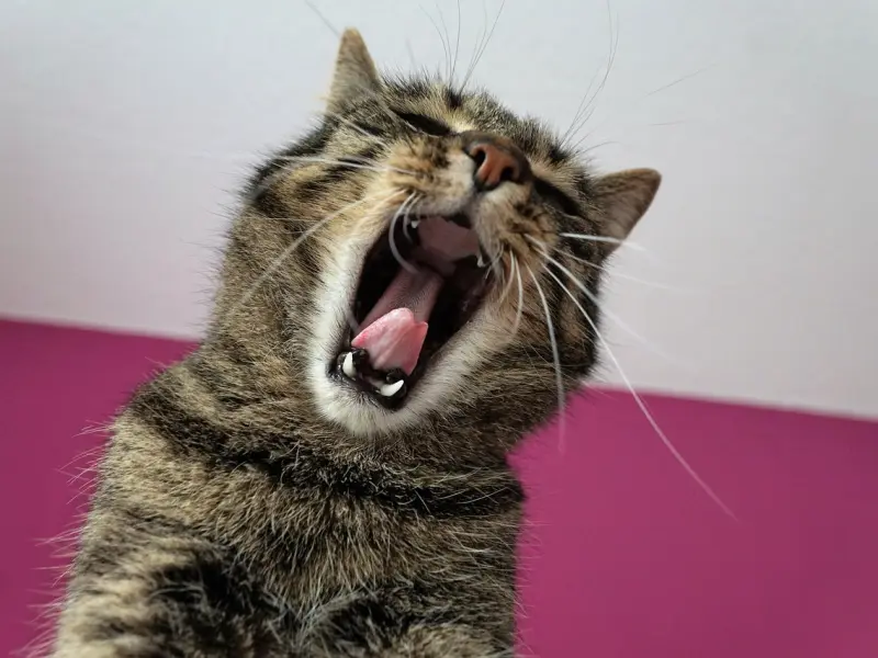 如何挽回老公的策略： 伤了老公的心该怎么做挽回？怎么重新吸引老公