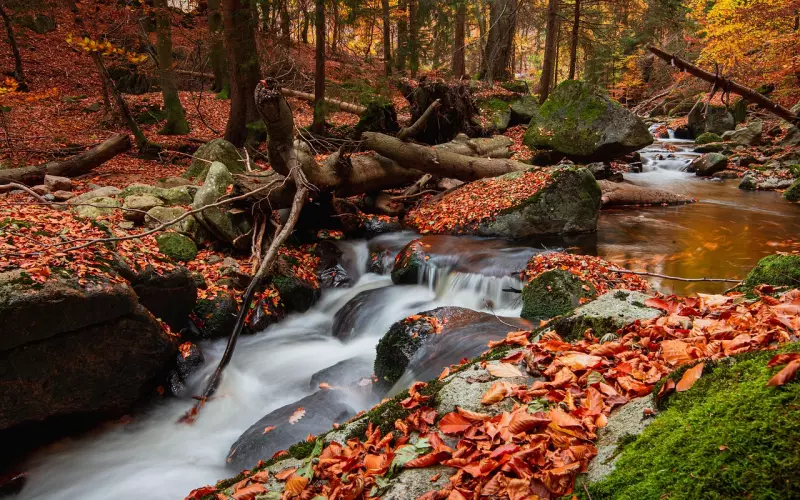 怎么挽回老公的策略：做好这三点挽回老公，稳住老公不安定的心