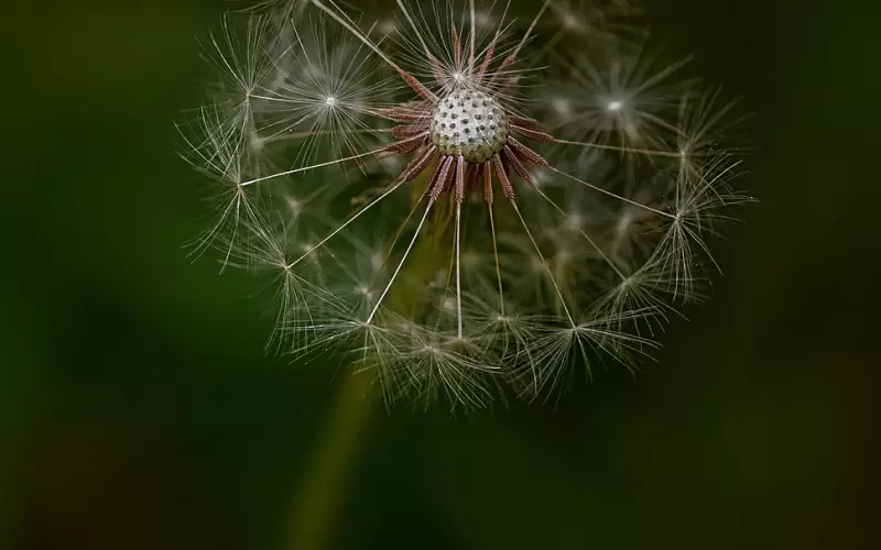 怎么挽回女友的策略：女友心灰意冷，还有挽回的希望吗？